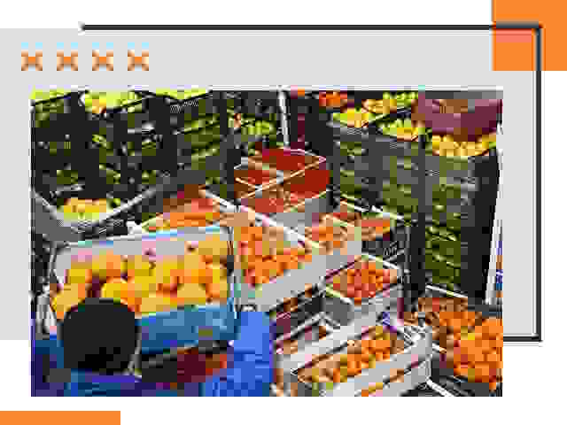 Перевозка скоропортящихся продуктов в Саянске